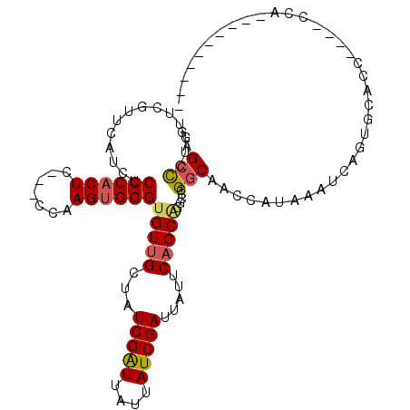 secondary structure
