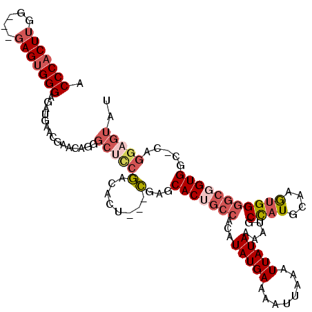 secondary structure