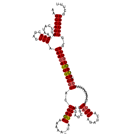 secondary structure