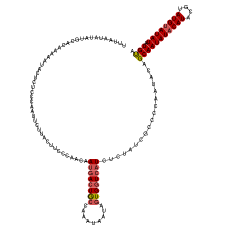secondary structure