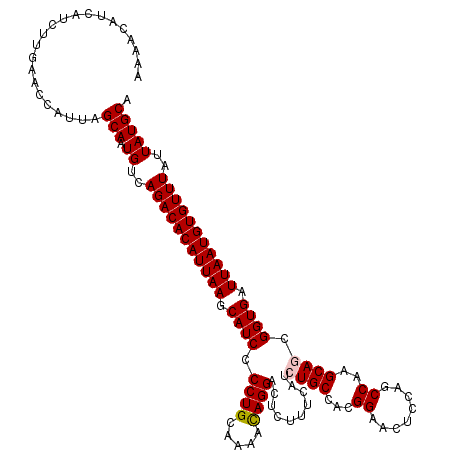 secondary structure