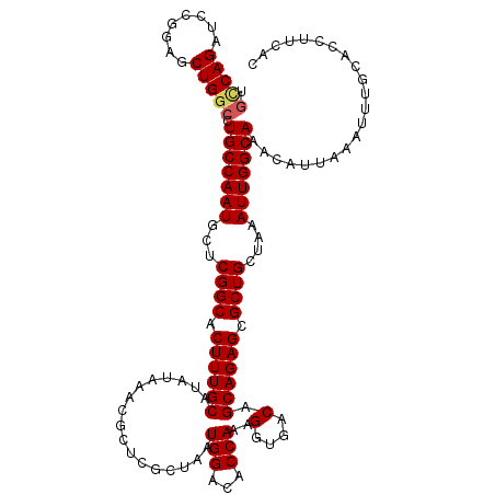 secondary structure
