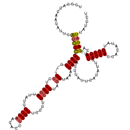 secondary structure