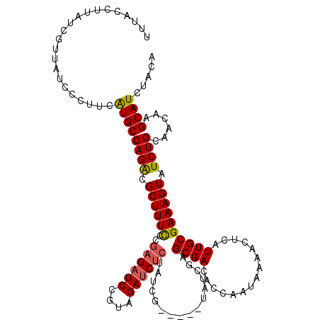 secondary structure