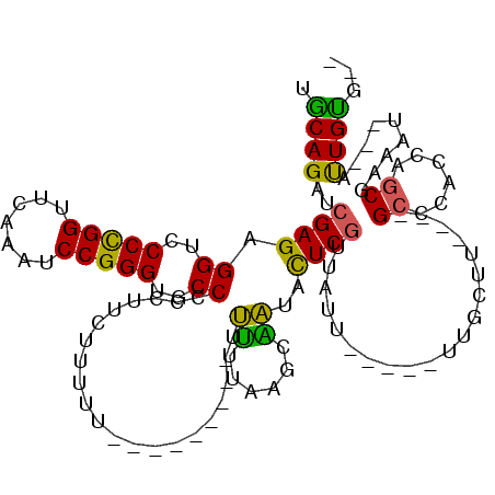 secondary structure