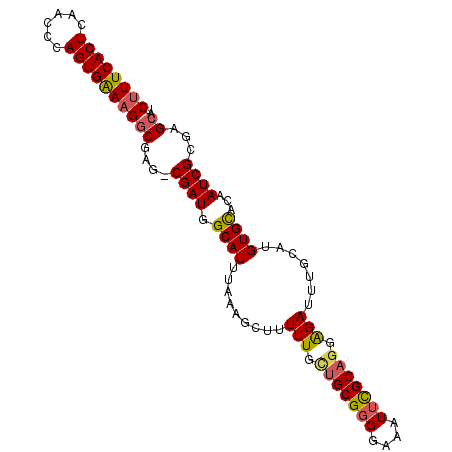 secondary structure