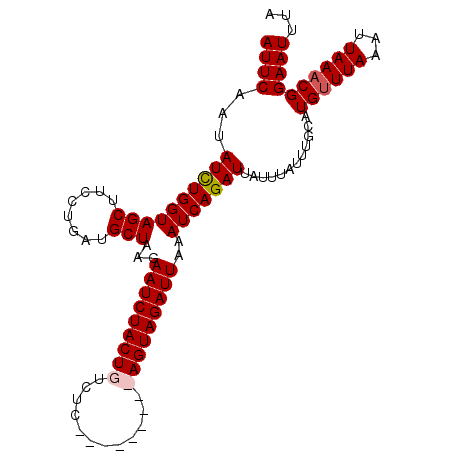 secondary structure