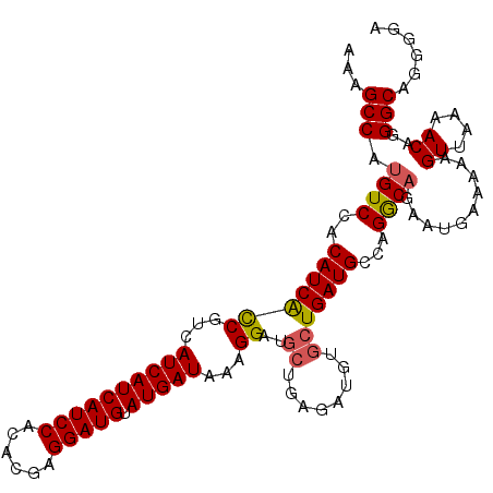 secondary structure