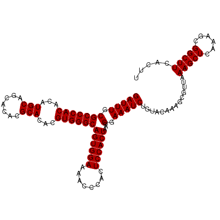 secondary structure