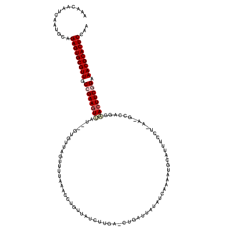 secondary structure