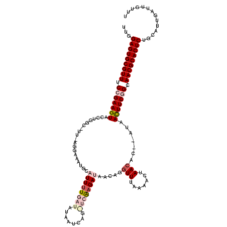 secondary structure