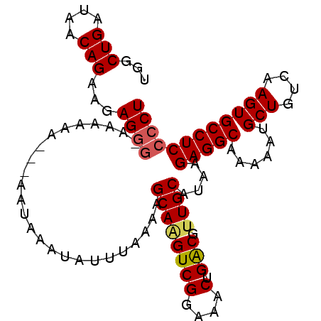 secondary structure
