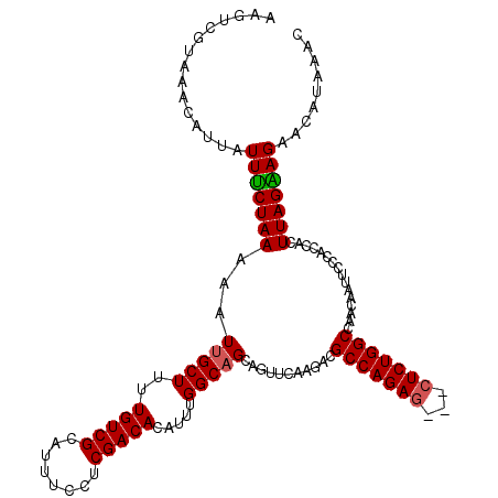 secondary structure