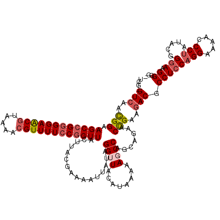 secondary structure