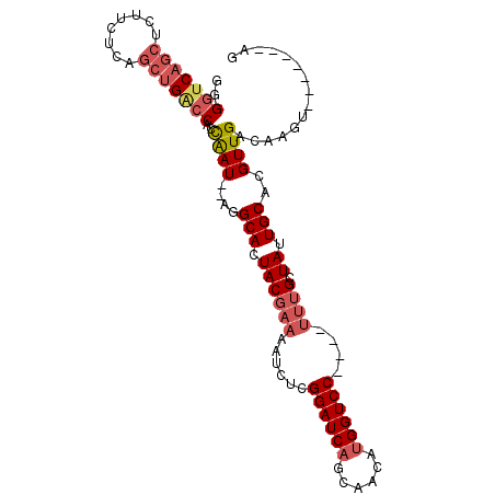 secondary structure