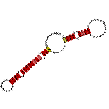 secondary structure
