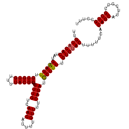 secondary structure