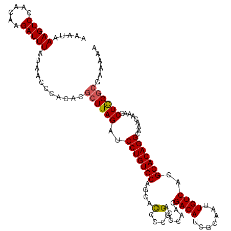 secondary structure