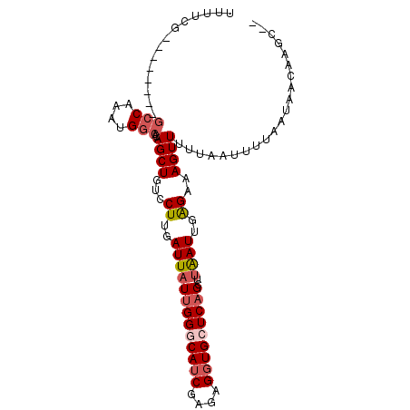 secondary structure