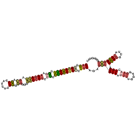 secondary structure