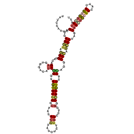 secondary structure