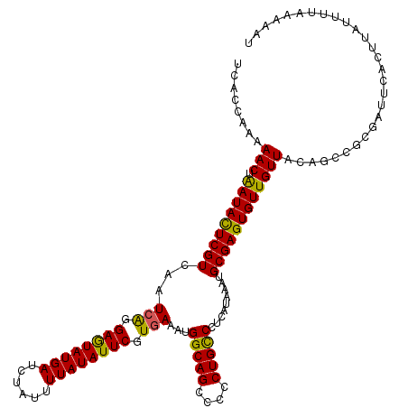 secondary structure