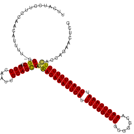 secondary structure