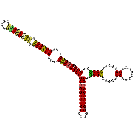secondary structure