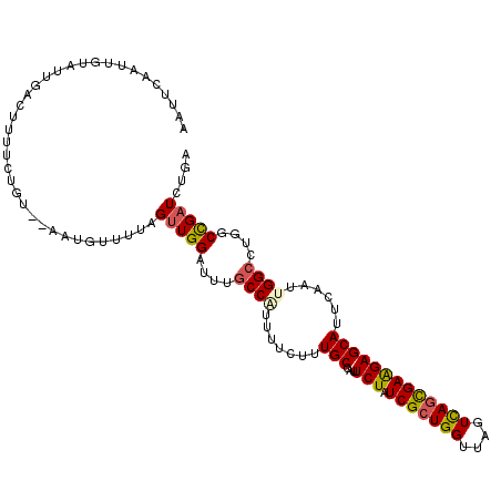 secondary structure