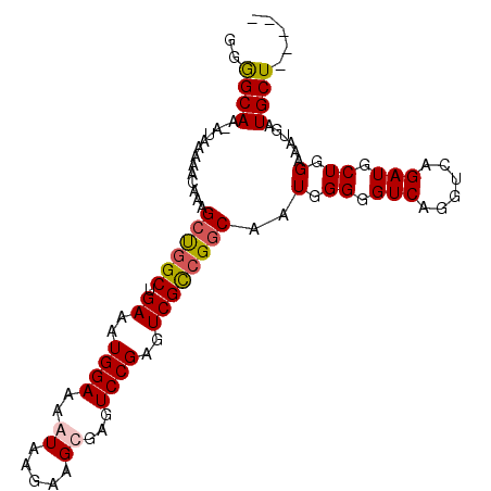 secondary structure