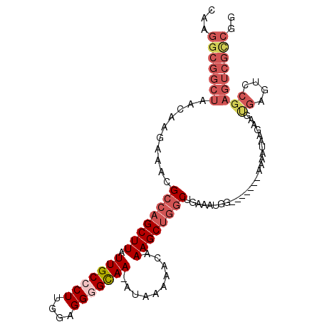 secondary structure