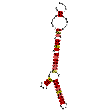 secondary structure