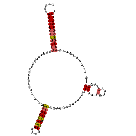 secondary structure