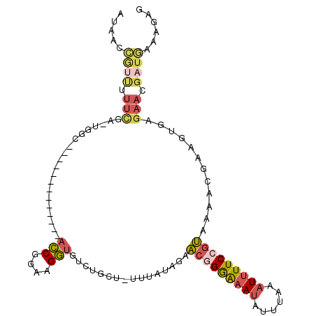 secondary structure