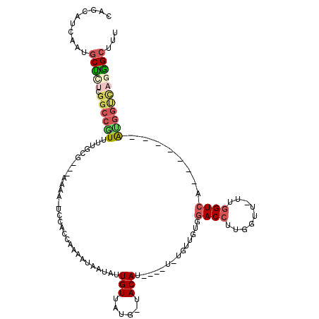 secondary structure