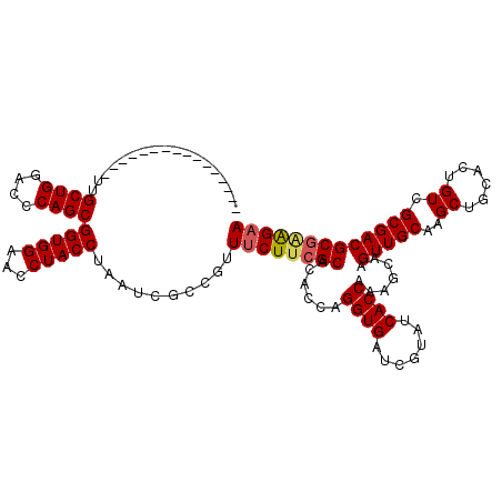 secondary structure
