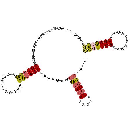 secondary structure