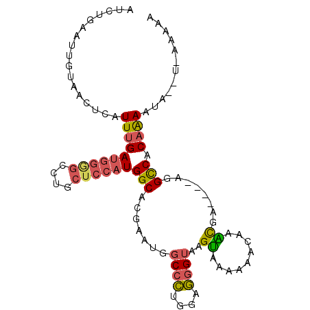 secondary structure