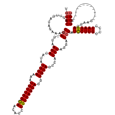 secondary structure
