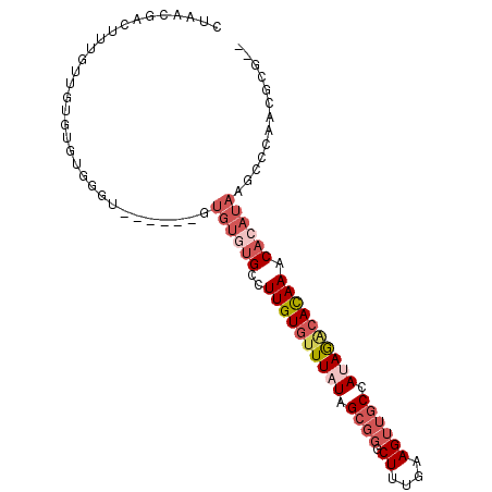 secondary structure