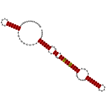 secondary structure