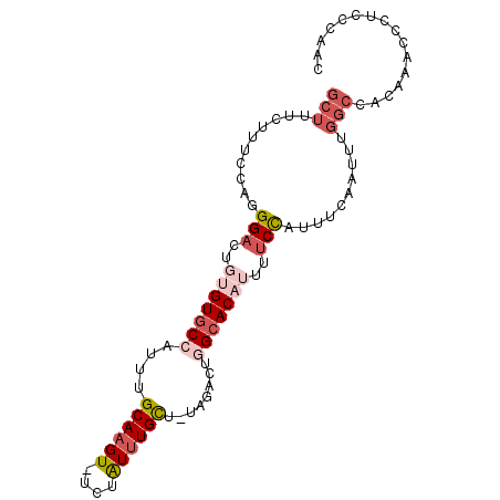 secondary structure