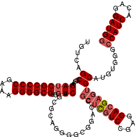 secondary structure