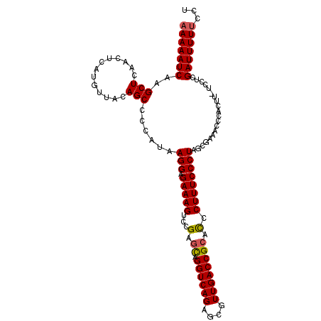 secondary structure