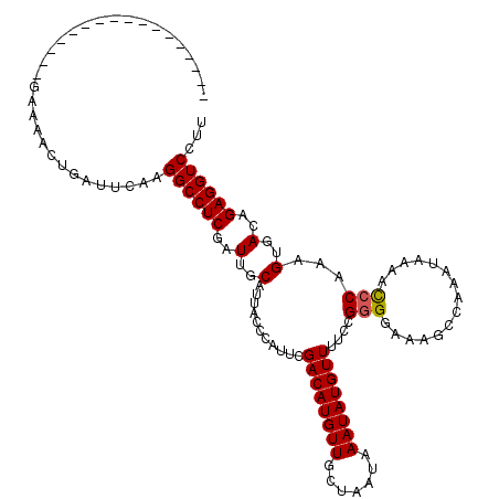 secondary structure