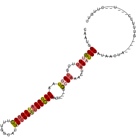secondary structure