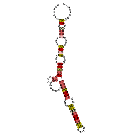secondary structure