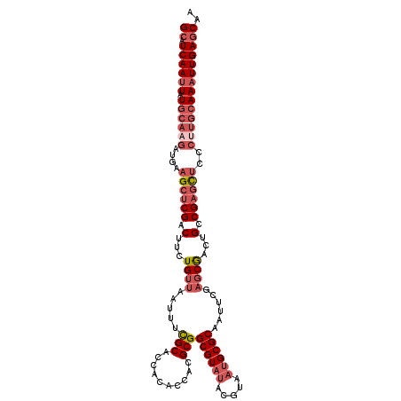 secondary structure