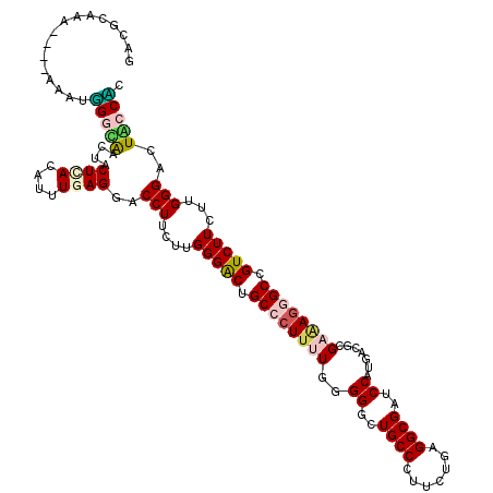 secondary structure