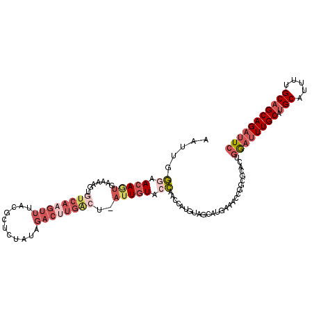 secondary structure